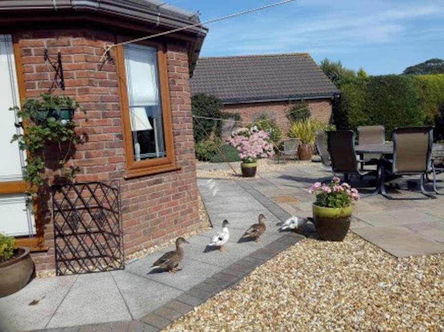 Coastal Garden Lodge Preesall Exterior photo